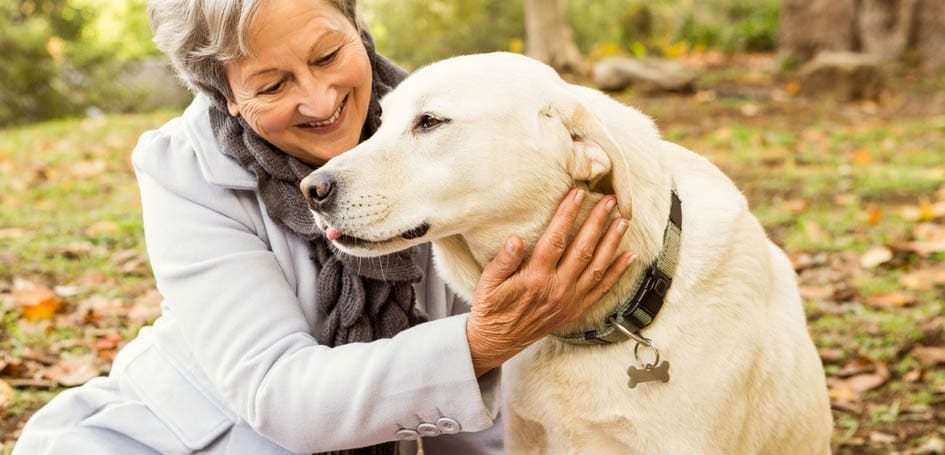 Residencias de ancianos y terapia asistida con animales