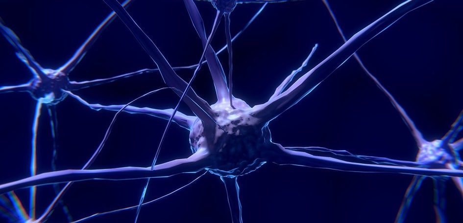 Investigadores logran detectar cambios en el cerebro 20 años antes de la aparición del Alzheimer